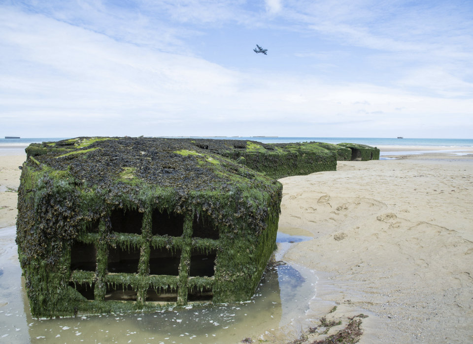 D-Day: The Invasion of Normandy and Liberation of France